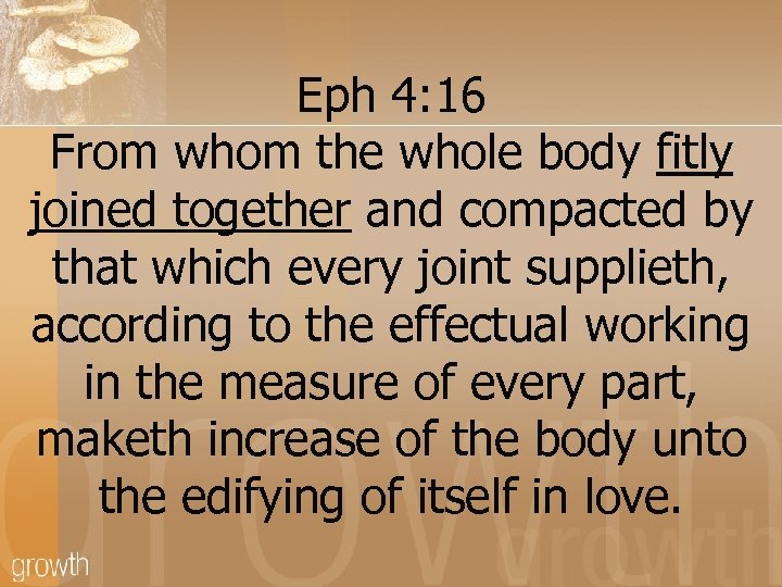 Eph 4: 16 From whom the whole body fitly joined together and compacted by