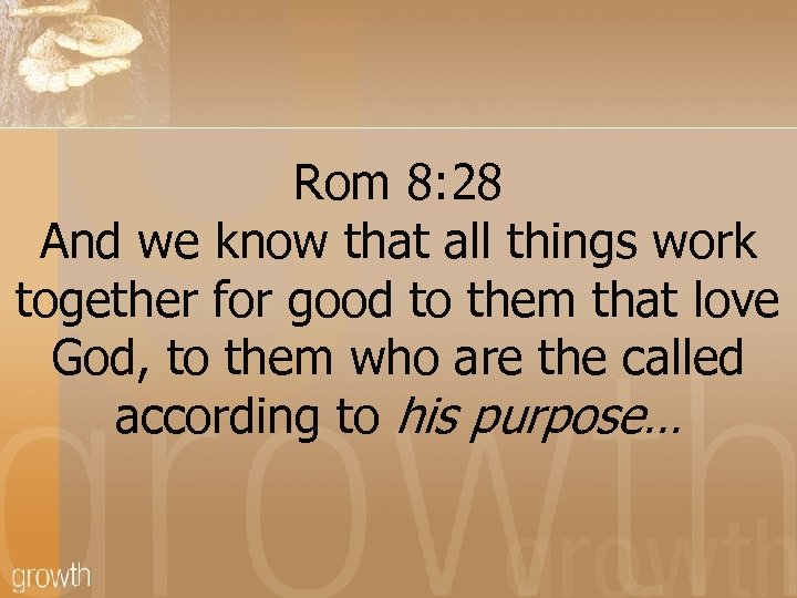 Rom 8: 28 And we know that all things work together for good to