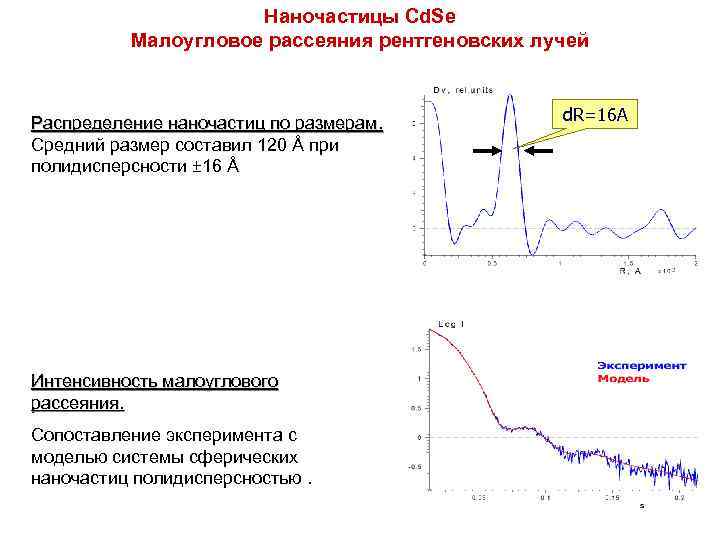 Наночастицы Cd. Se Малоугловое рассеяния рентгеновских лучей Распределение наночастиц по размерам. Средний размер составил