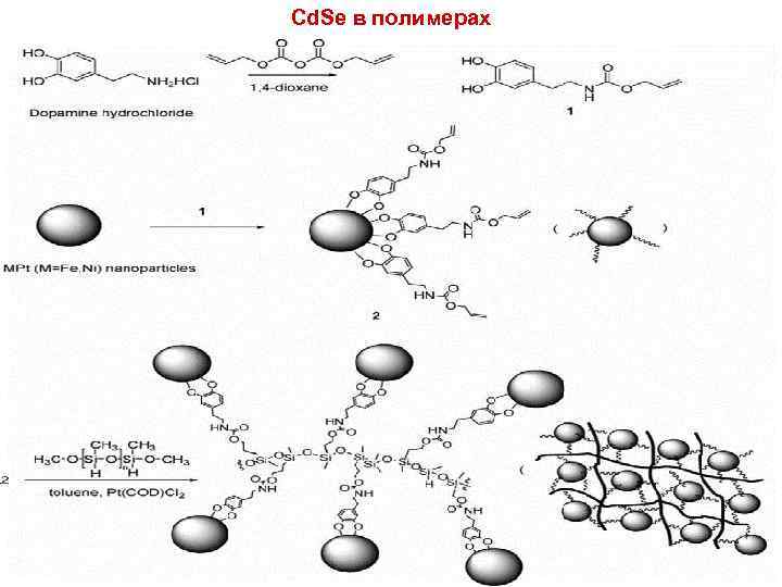 Cd. Se в полимерах 