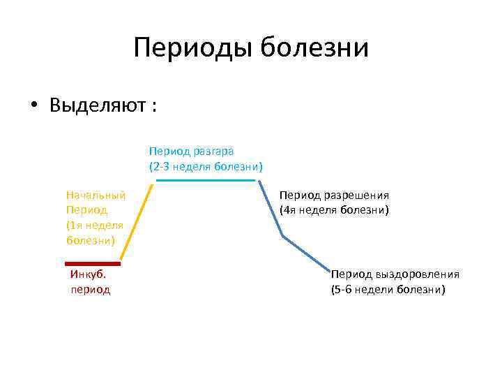 Развернутая картина течения инфекционного заболевания характерна для периода