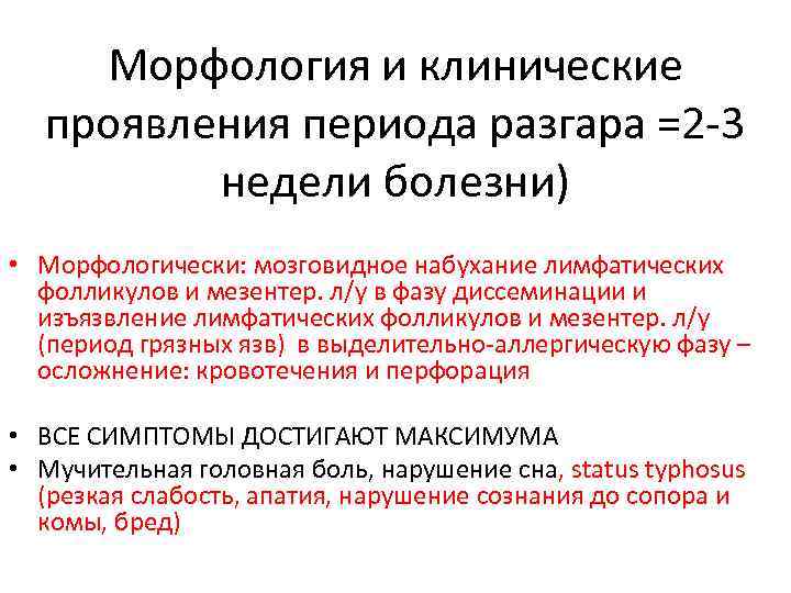 Морфология и клинические проявления периода разгара =2 -3 недели болезни) • Морфологически: мозговидное набухание
