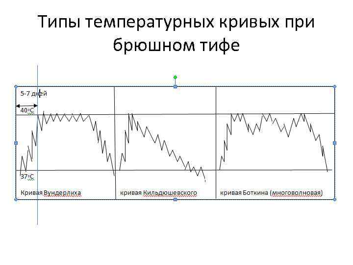Типы температурных кривых. Характерные типы температурных кривых при брюшном тифе. Типы температурной Кривой при брюшном тифе. Вундерлиховская температурная кривая. Температурная кривая при брюшном тифе.