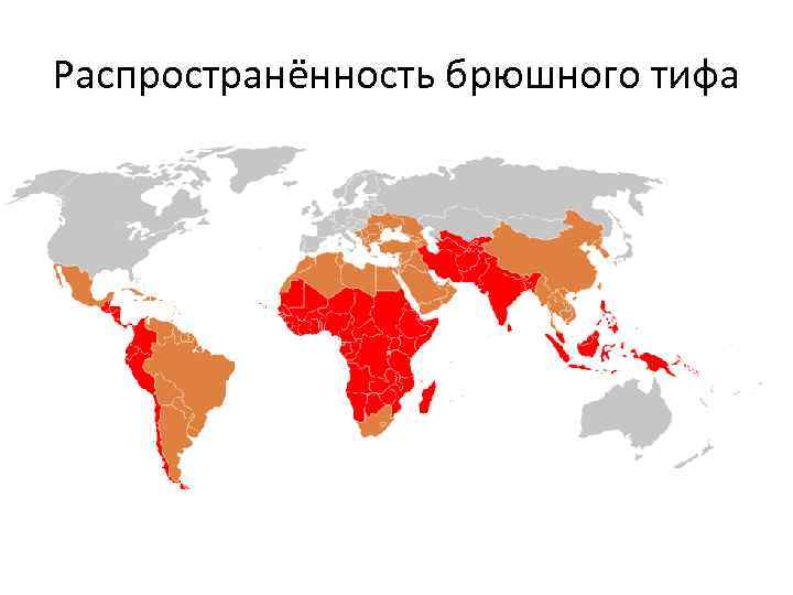 Распространённость брюшного тифа 
