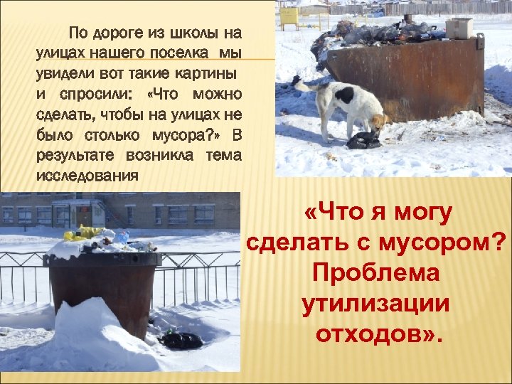 По дороге из школы на улицах нашего поселка мы увидели вот такие картины и