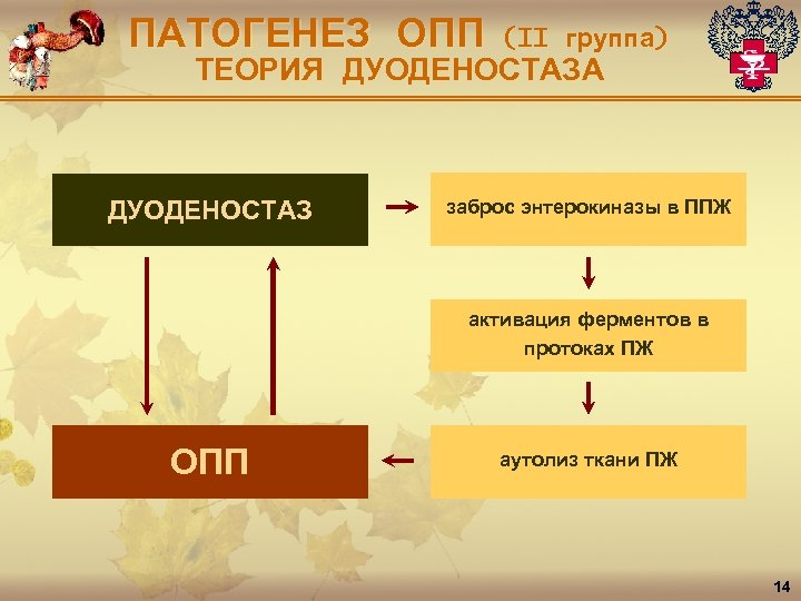 ПАТОГЕНЕЗ ОПП (II группа) ТЕОРИЯ ДУОДЕНОСТАЗА ДУОДЕНОСТАЗ заброс энтерокиназы в ППЖ активация ферментов в