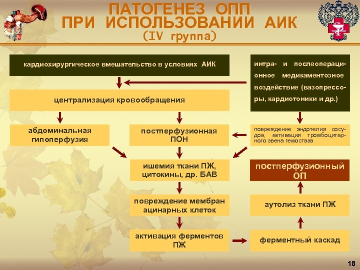 ПАТОГЕНЕЗ ОПП ПРИ ИСПОЛЬЗОВАНИИ АИК (IV группа) кардиохирургическое вмешательство в условиях АИК интра- и