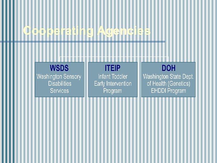 Cooperating Agencies 