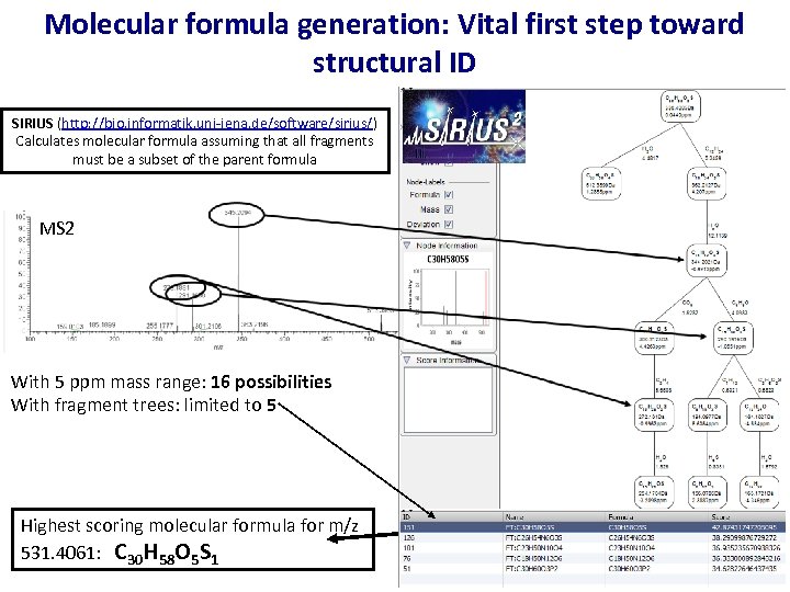 Molecular formula generation: Vital first step toward structural ID SIRIUS (http: //bio. informatik. uni-jena.
