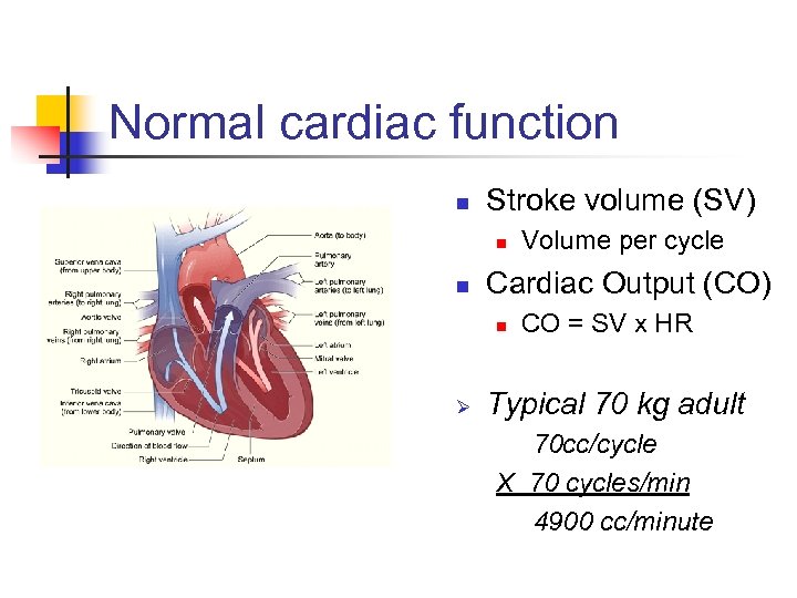 Normal cardiac function n Stroke volume (SV) n n Cardiac Output (CO) n Ø