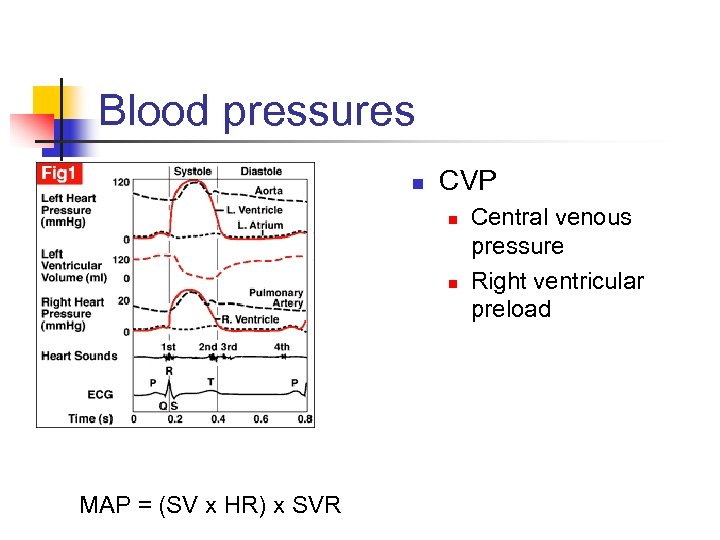 Blood pressures n CVP n n MAP = (SV x HR) x SVR Central