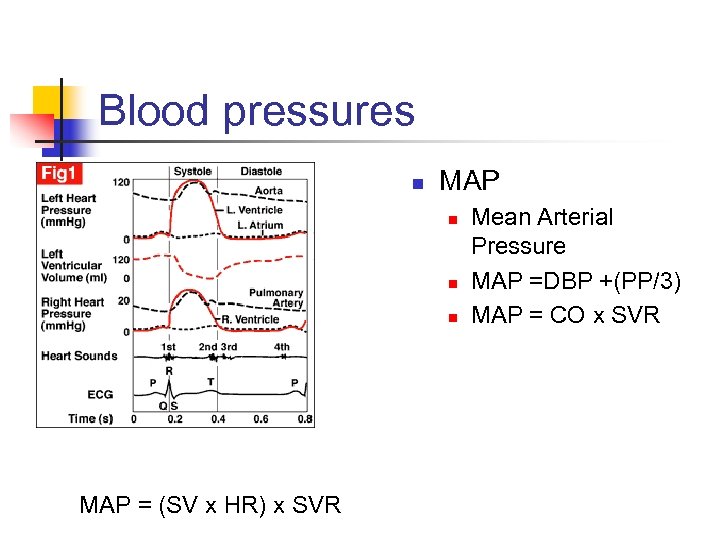 Blood pressures n MAP n n n MAP = (SV x HR) x SVR