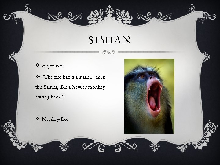 SIMIAN v Adjective v “The fire had a simian look in the flames, like