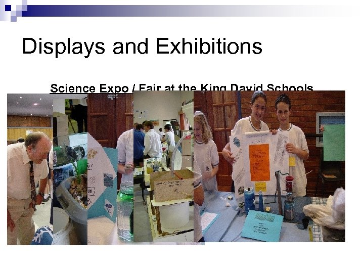 Displays and Exhibitions Science Expo / Fair at the King David Schools 