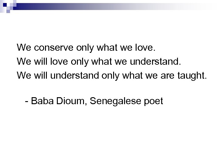 We conserve only what we love. We will love only what we understand. We