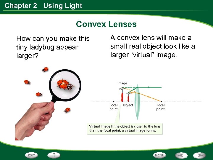 x Chapter 2 Using Light Convex Lenses How can you make this tiny ladybug