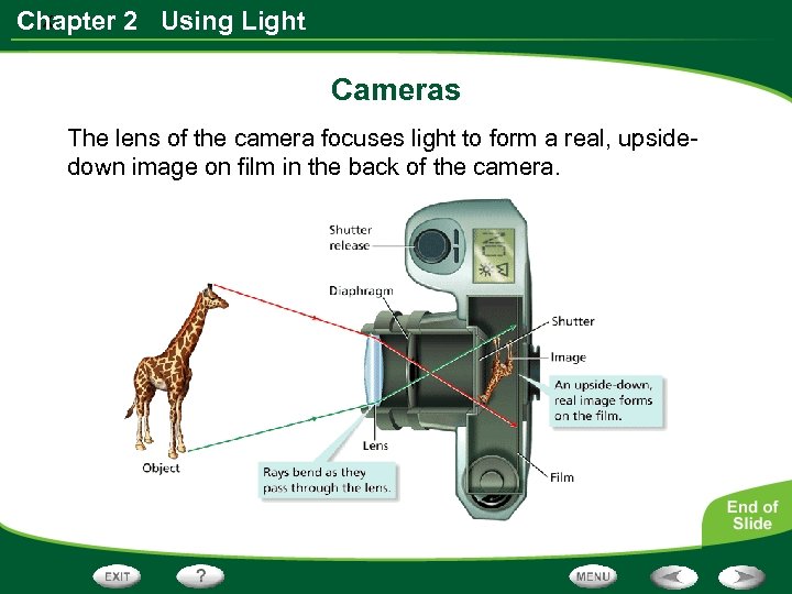 x Chapter 2 Using Light Cameras The lens of the camera focuses light to