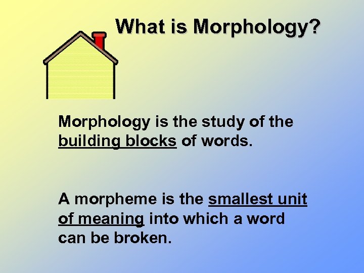 What is Morphology? Morphology is the study of the building blocks of words. A