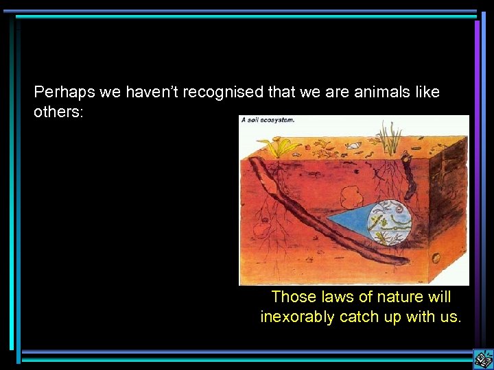 Perhaps we haven’t recognised that we are animals like others: Those laws of nature