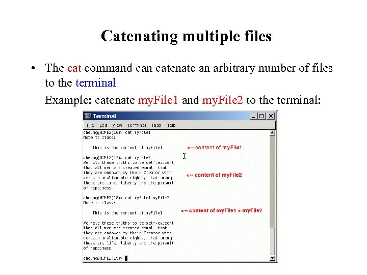 Catenating multiple files • The cat command can catenate an arbitrary number of files