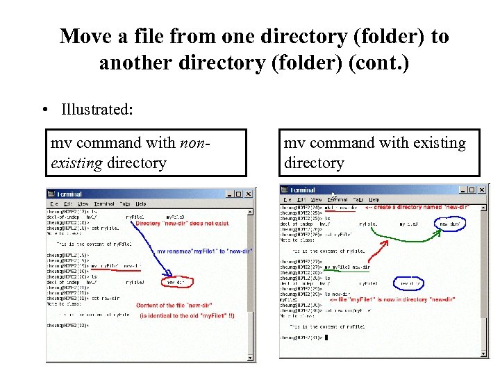 Move a file from one directory (folder) to another directory (folder) (cont. ) •