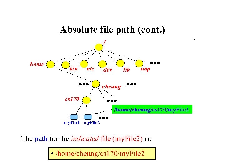 Absolute file path (cont. ) The path for the indicated file (my. File 2)
