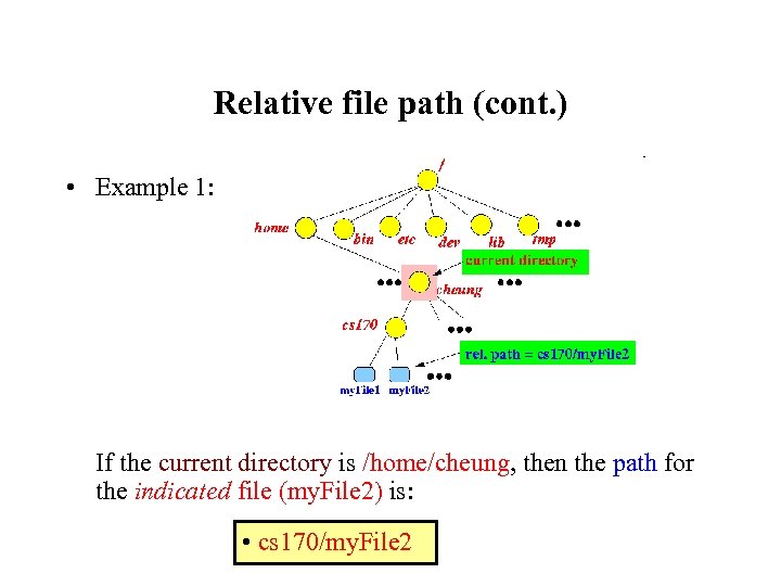 Relative file path (cont. ) • Example 1: If the current directory is /home/cheung,