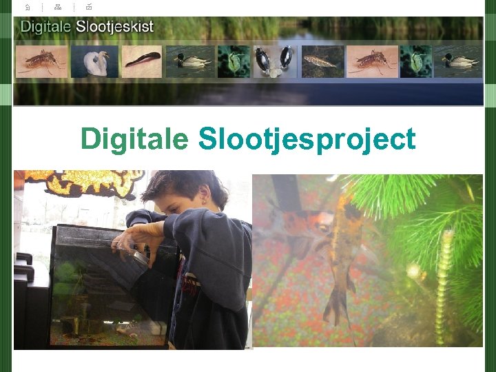 Digitale Slootjesproject 