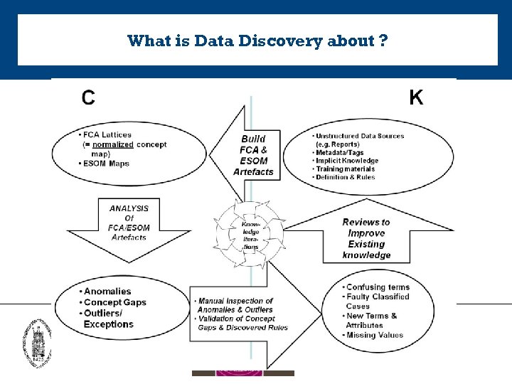 What is Data Discovery about ? 