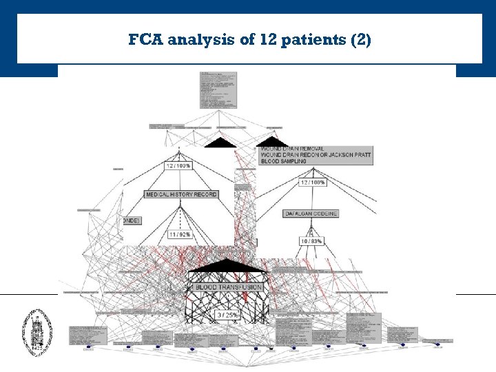 FCA analysis of 12 patients (2) 
