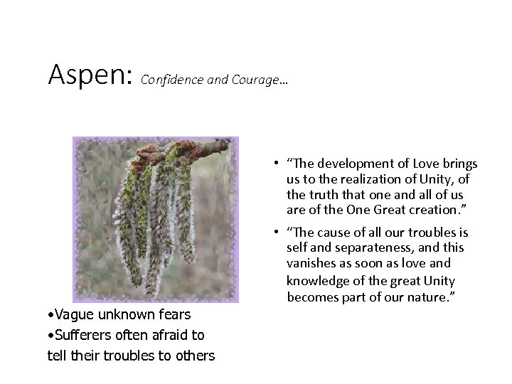 Aspen: Confidence and Courage… • “The development of Love brings us to the realization