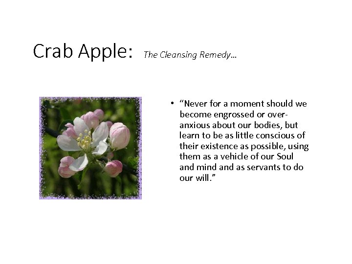 Crab Apple: The Cleansing Remedy… • “Never for a moment should we become engrossed