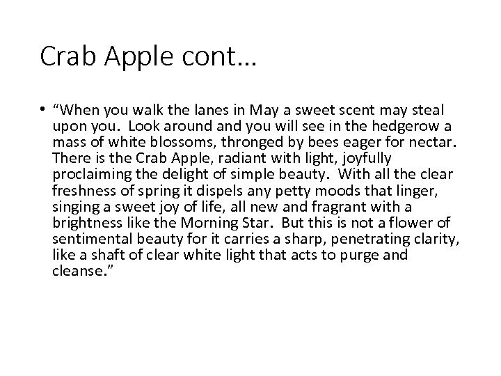 Crab Apple cont… • “When you walk the lanes in May a sweet scent
