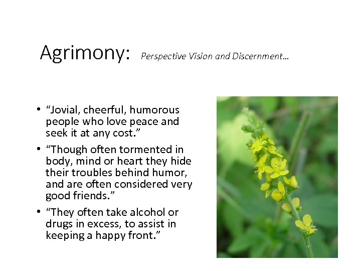 Agrimony: Perspective Vision and Discernment… • “Jovial, cheerful, humorous people who love peace and