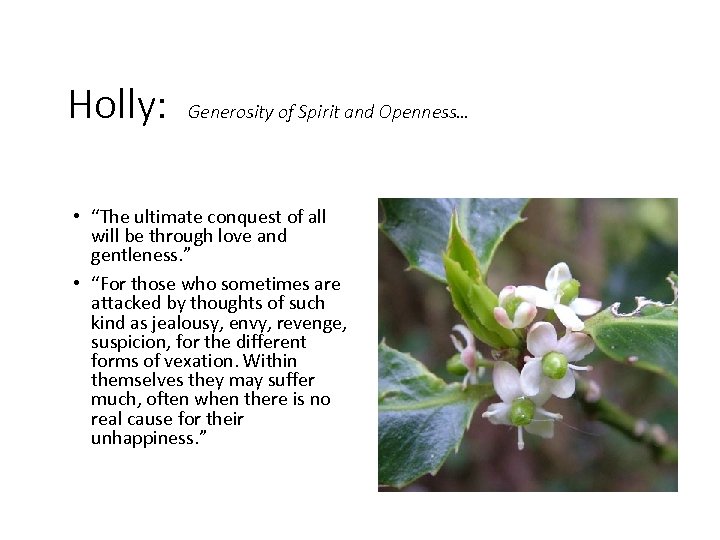 Holly: Generosity of Spirit and Openness… • “The ultimate conquest of all will be