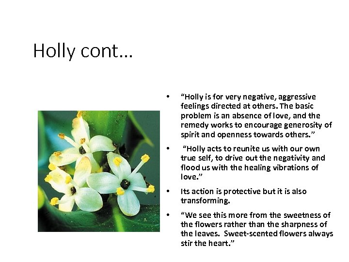 Holly cont… • “Holly is for very negative, aggressive feelings directed at others. The