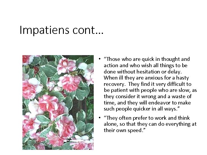 Impatiens cont… • “Those who are quick in thought and action and who wish