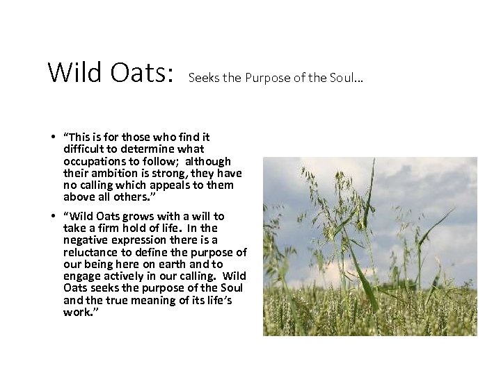 Wild Oats: Seeks the Purpose of the Soul… • “This is for those who
