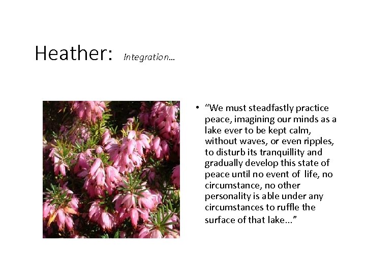 Heather: Integration… • “We must steadfastly practice peace, imagining our minds as a lake