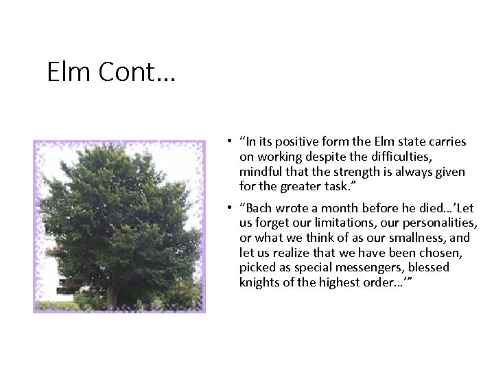Elm Cont… • “In its positive form the Elm state carries on working despite