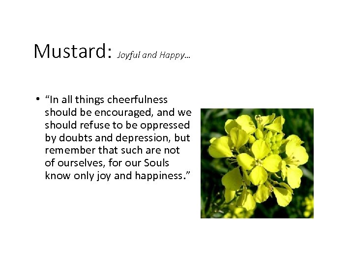 Mustard: Joyful and Happy… • “In all things cheerfulness should be encouraged, and we