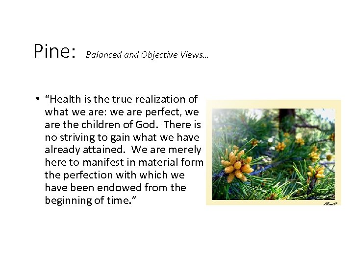 Pine: Balanced and Objective Views… • “Health is the true realization of what we