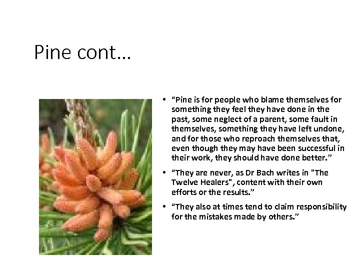 Pine cont… • “Pine is for people who blame themselves for something they feel