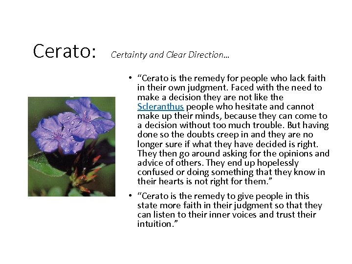 Cerato: Certainty and Clear Direction… • “Cerato is the remedy for people who lack