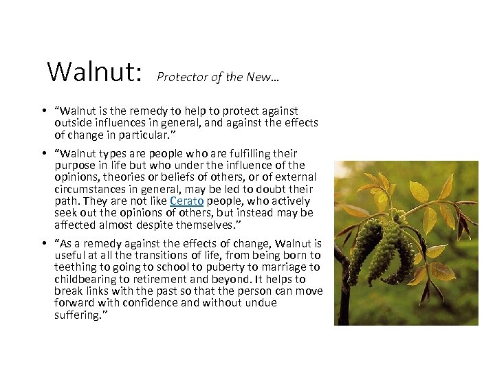 Walnut: Protector of the New… • “Walnut is the remedy to help to protect