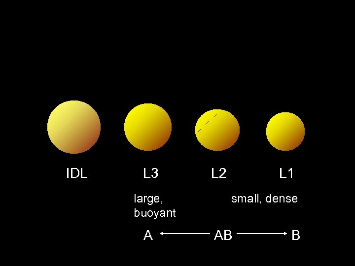 LDL Particle Size Subclass: Fasting triglycerides of 175 mg/dl or greater or TG/HDL ratio