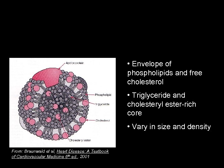 Lipoproteins Water-soluble way to transport hydrophobic lipids • Envelope of phospholipids and free cholesterol