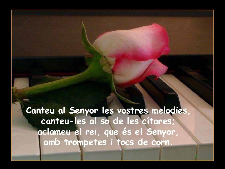 Canteu al Senyor les vostres melodies, canteu-les al so de les cítares; aclameu el