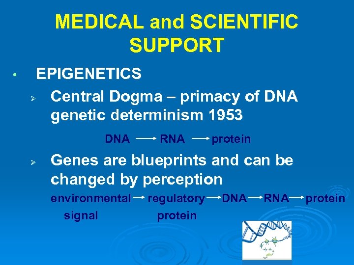 MEDICAL and SCIENTIFIC SUPPORT • EPIGENETICS Ø Central Dogma – primacy of DNA genetic