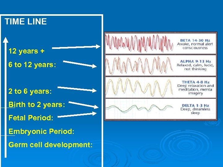 TIME LINE 12 years + 6 to 12 years: 2 to 6 years: Birth